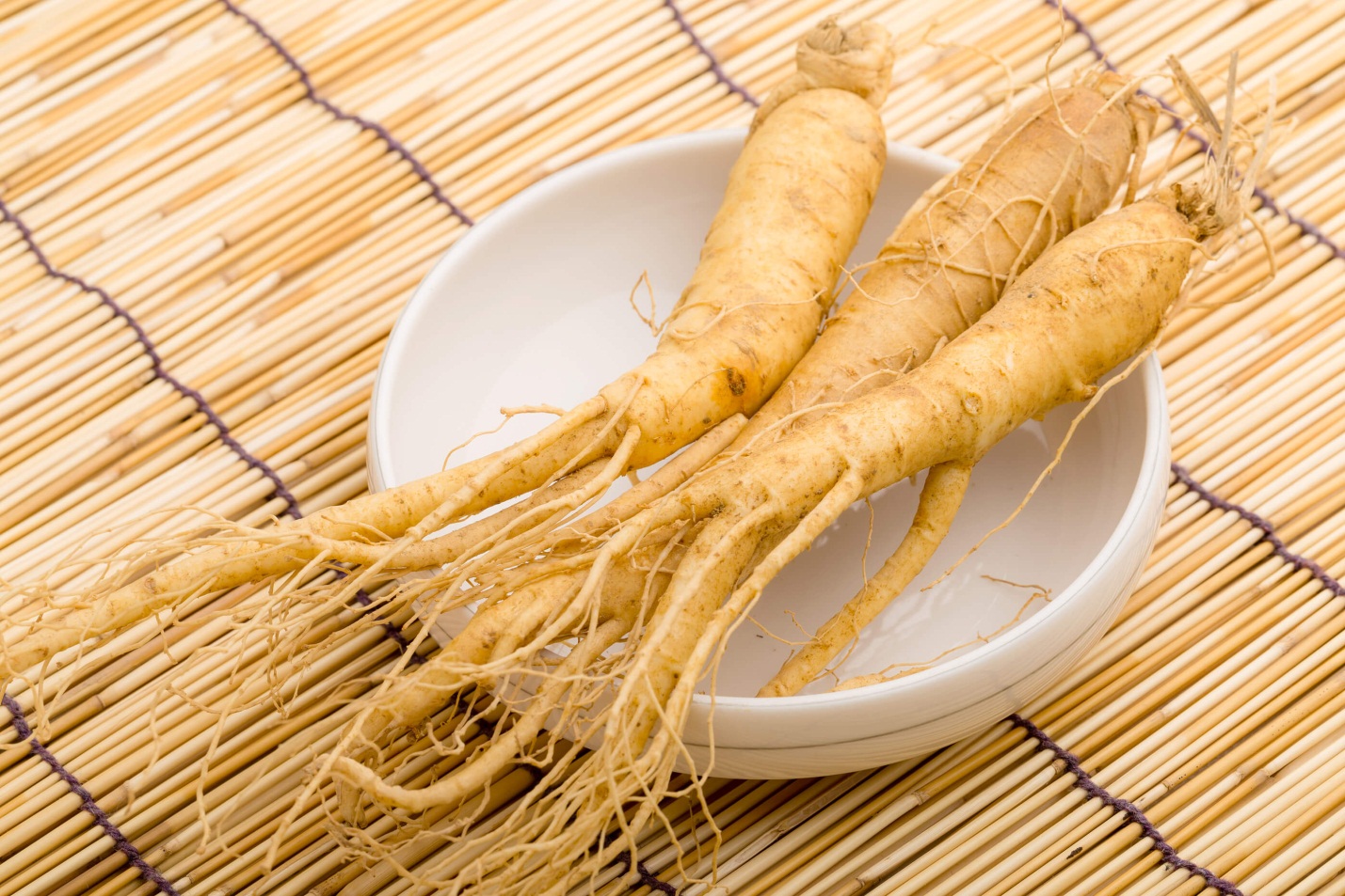 Sâm Tươi: Nguyên Liệu Cho Món Ăn Dinh Dưỡng