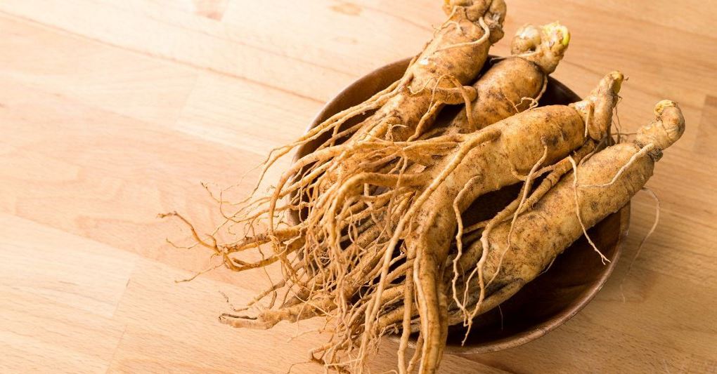 Sâm Hàn Quốc – Bí kíp trẻ đẹp khỏe của xứ kim chi